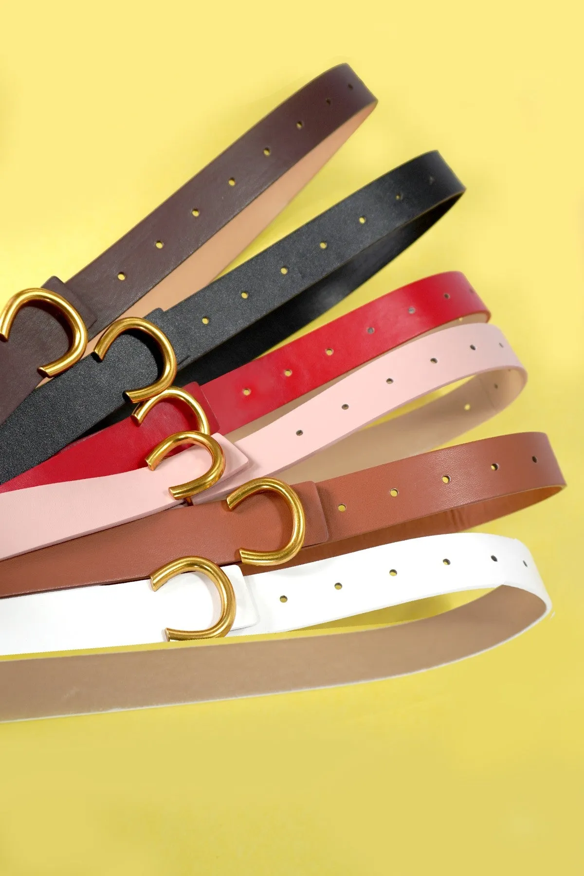 Assorted Gold Horseshoe Belts